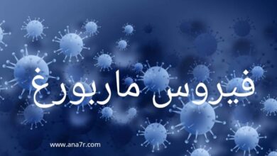 فيروس ماربرغ
