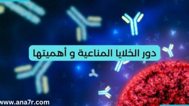 دور الخلايا المناعية و أهميتها