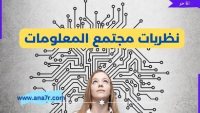 نظريات مجتمع المعلومات