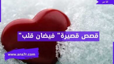 قصص قصيرة" فيضان قلب"